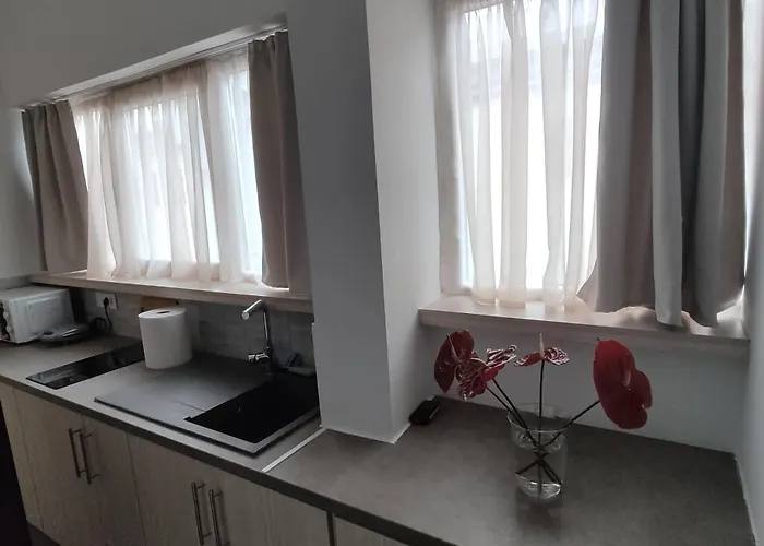 Petmeza 2 F Apartamento