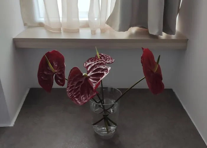 Petmeza 2 F Διαμέρισμα *